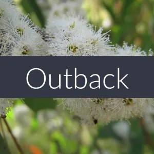 Outback Blend Essential Oil