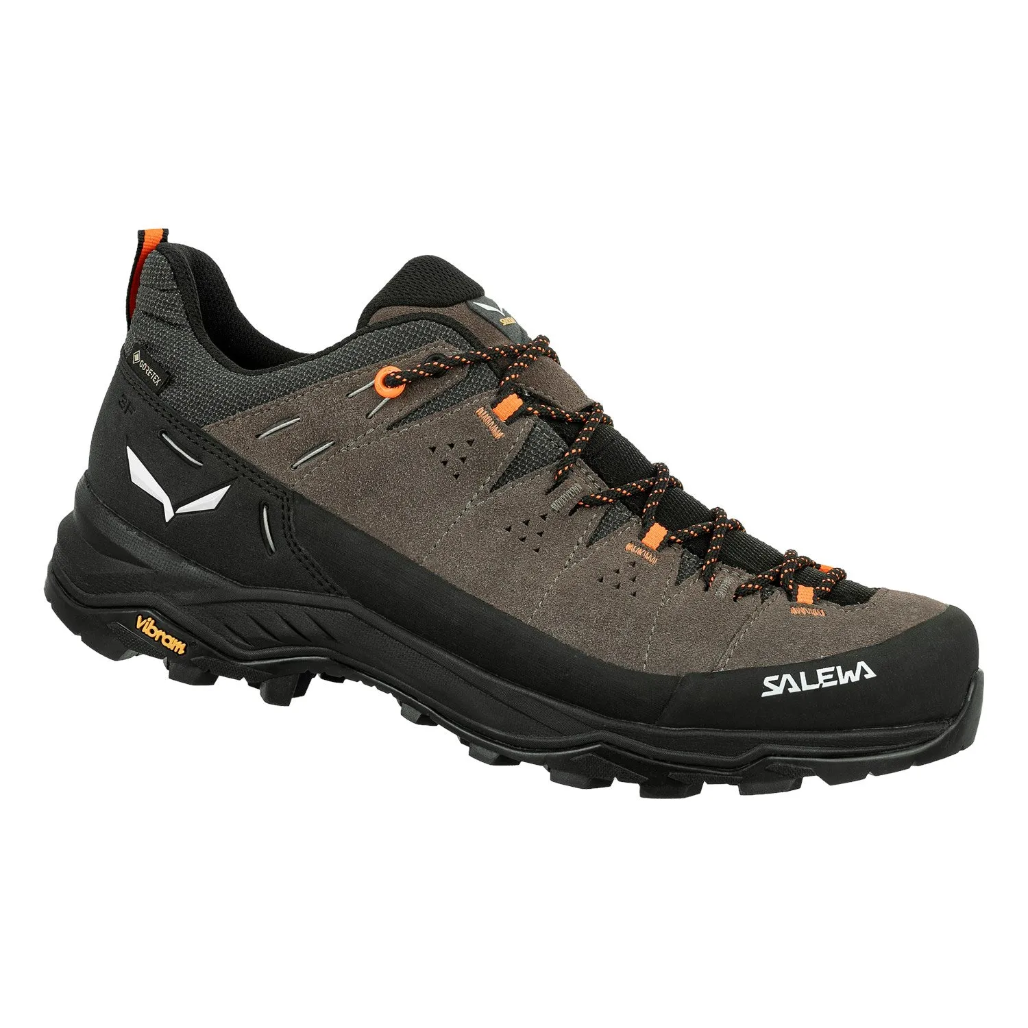 Salewa Men's ALP Trainer 2 Gtx